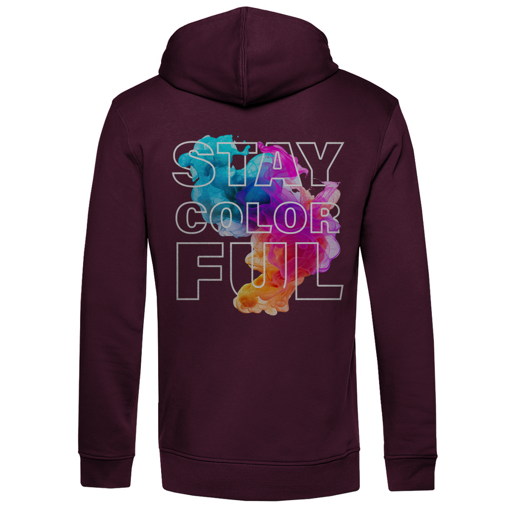 Bio Premium Herren Hoodie colorful