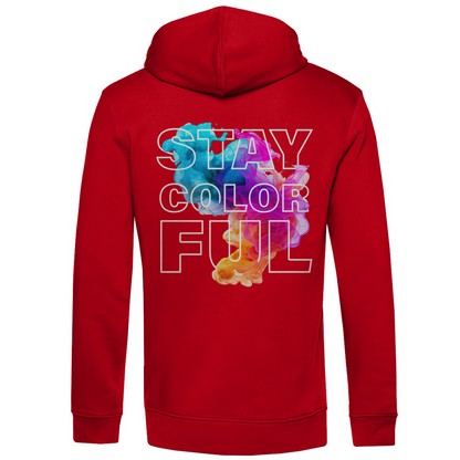 Bio Premium Herren Hoodie colorful